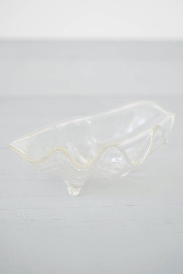 Chic Clear Plastic Clam Bowl
