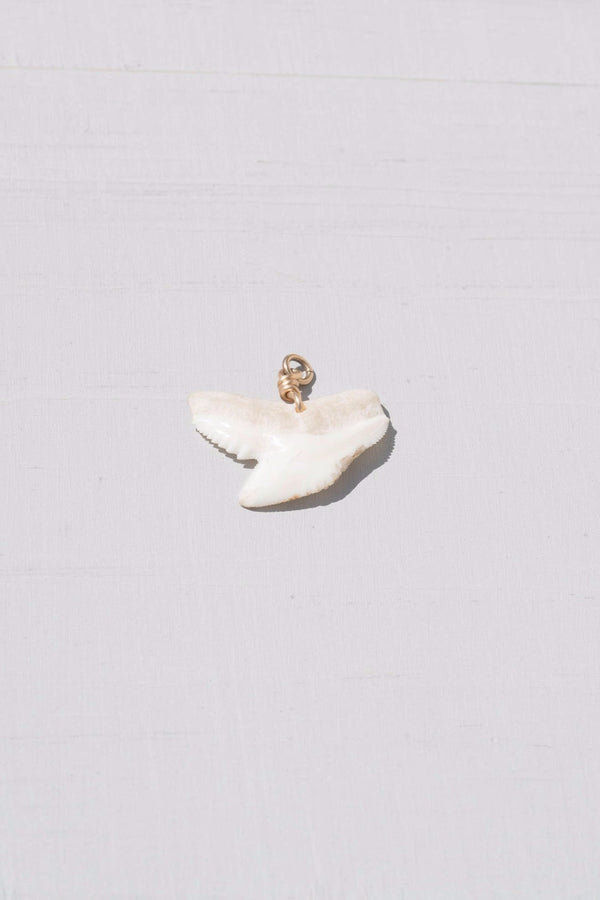 Vintage Shark Tooth Charm With Gold Fill Ring